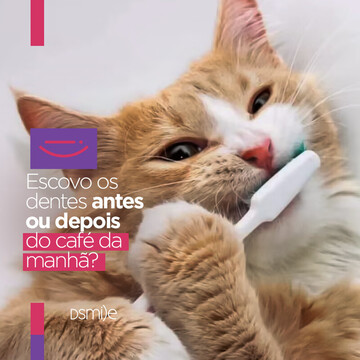 Escovo os dentes antes ou depois do café da manhã?